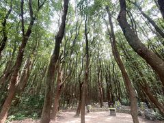 -同里国家湿地公园