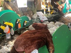 -宜家家居(四元桥商场店)