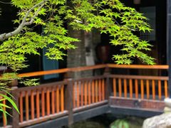 景观位-鱼桥巷·美学川菜