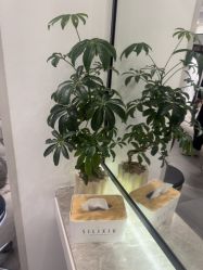 -LJOY丽锦造型·烫发染发