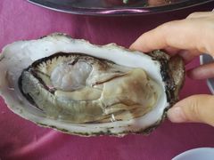 -旗鱼海番村(Orang Asli)