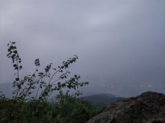 -北京西山国家森林公园