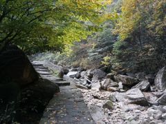 -浙西大峡谷