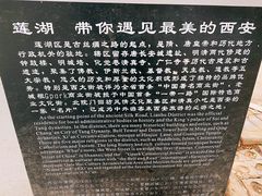 -莲湖公园