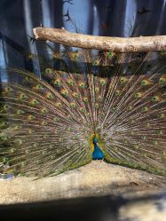 -酷嗒动物文化乐园(cutezoo西溪乐天城店)