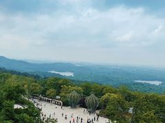 -牛首山文化旅游区