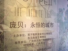 -南越王博物院(王宫展区)