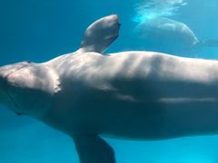 -福州罗源湾海洋世界旅游区