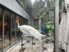 -渝半城经典川粤菜(重庆天地店)