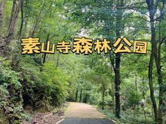 -素山寺森林公园