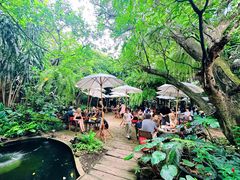 -Fern Forest Cafe