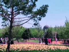 -长春公园(普阳街道)