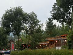 -青城甲(青城山店)