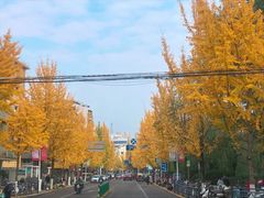 -大蜜旺(丽水店)