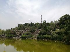 -铁山坪森林公园