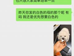 -翊宠yipet猫狗购宠庄园犬舍•猫舍