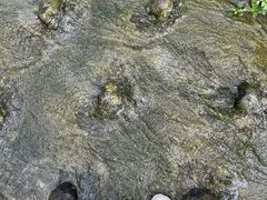 -海窝子古镇
