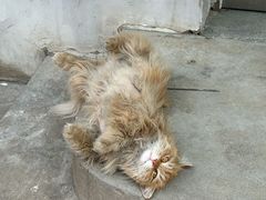 -李叔同故居纪念馆