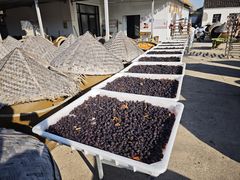 -苏州市吴中区光福窑上花果蜜饯厂