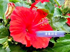 -横琴购口岸商业广场