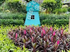 -南宫五洲植物乐园