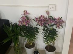 -足来足往养生会所