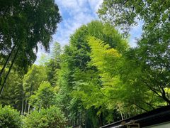 -杭州黄龙洞