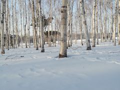 -长春市南湖公园