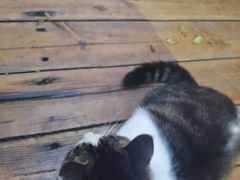 -有才叔的小馆(招商依云曲江店)