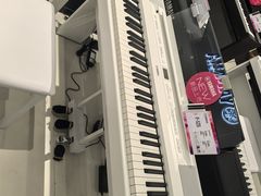 -雅马哈乐器专卖店(广州旗舰店)
