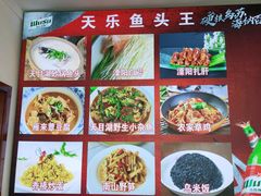 -天乐农家鱼头王(天目湖店)