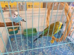 -休记光头香辣蟹干锅店(衣冠庙店)