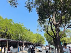 -蓬莱阁景区