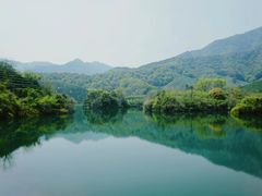 -龙坞茶村