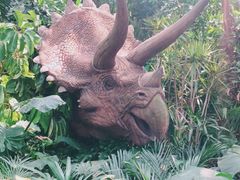 -广州长隆野生动物世界