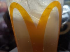 -麦当劳(红旗路店)