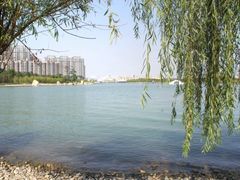 -暨阳湖生态园
