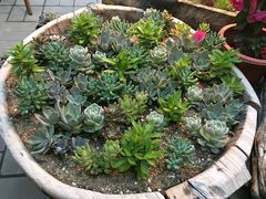 -瓦库茶馆17号(海汇港店)