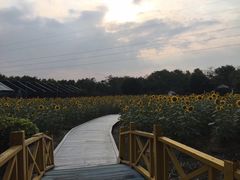 -广东花都香草世界旅游度假区