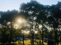 -艾溪湖湿地公园