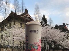 -鸡鸣赐茶(鸡鸣寺路店)