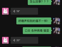 -十年猫舍·猫咪专门店(普陀店)