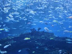-海合安成都极地海洋公园