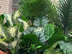 -必胜客(鞍山万象汇店PH店)