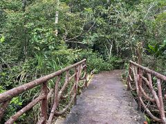 -海南热带雨林国家公园吊罗山景区