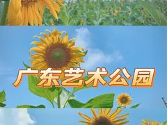 -华海酒店(茂名高铁站店)