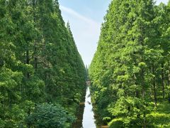 -黄海国家森林公园