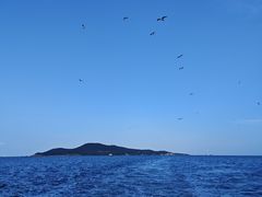 -刘公岛景区