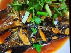 -日丰园海肠水饺·老字号大连海鲜(和平广场店)