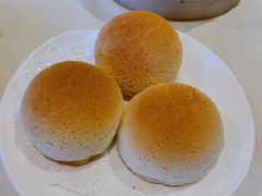 雪顶雄峰-利苑酒家(金宝店)